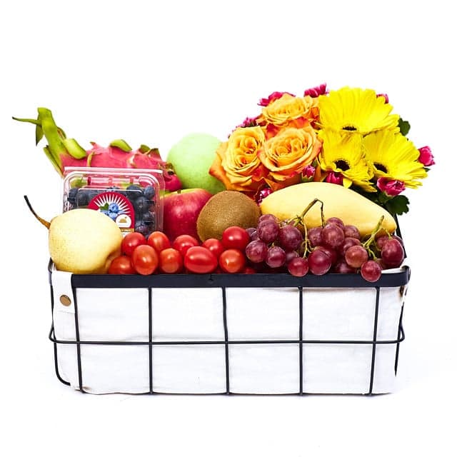 تقویت کننده نیروی حیات (سنگاپور)