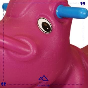 تعادلی کرم ساحل — تصویر ۲