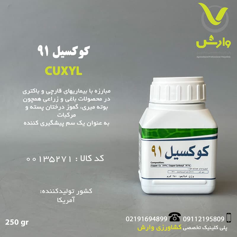 کوکسیل 91 IFTC قوطی 250 گرمی