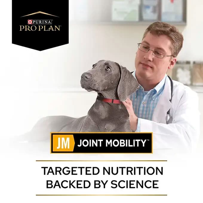 غذا خشک سگ بالغ پروپلن مشکلات مفصلی طعم ماهی وزن 3 کیلوگرم ProPlan Joint Mobility — تصویر ۴