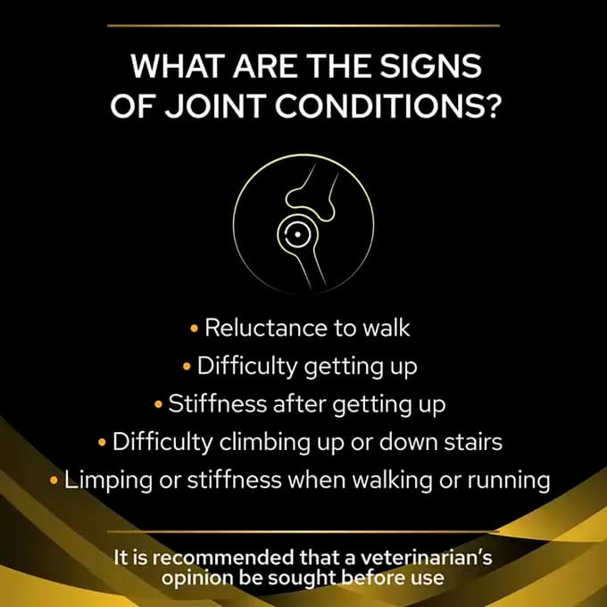غذا خشک سگ بالغ پروپلن مشکلات مفصلی طعم ماهی وزن 3 کیلوگرم ProPlan Joint Mobility — تصویر ۵