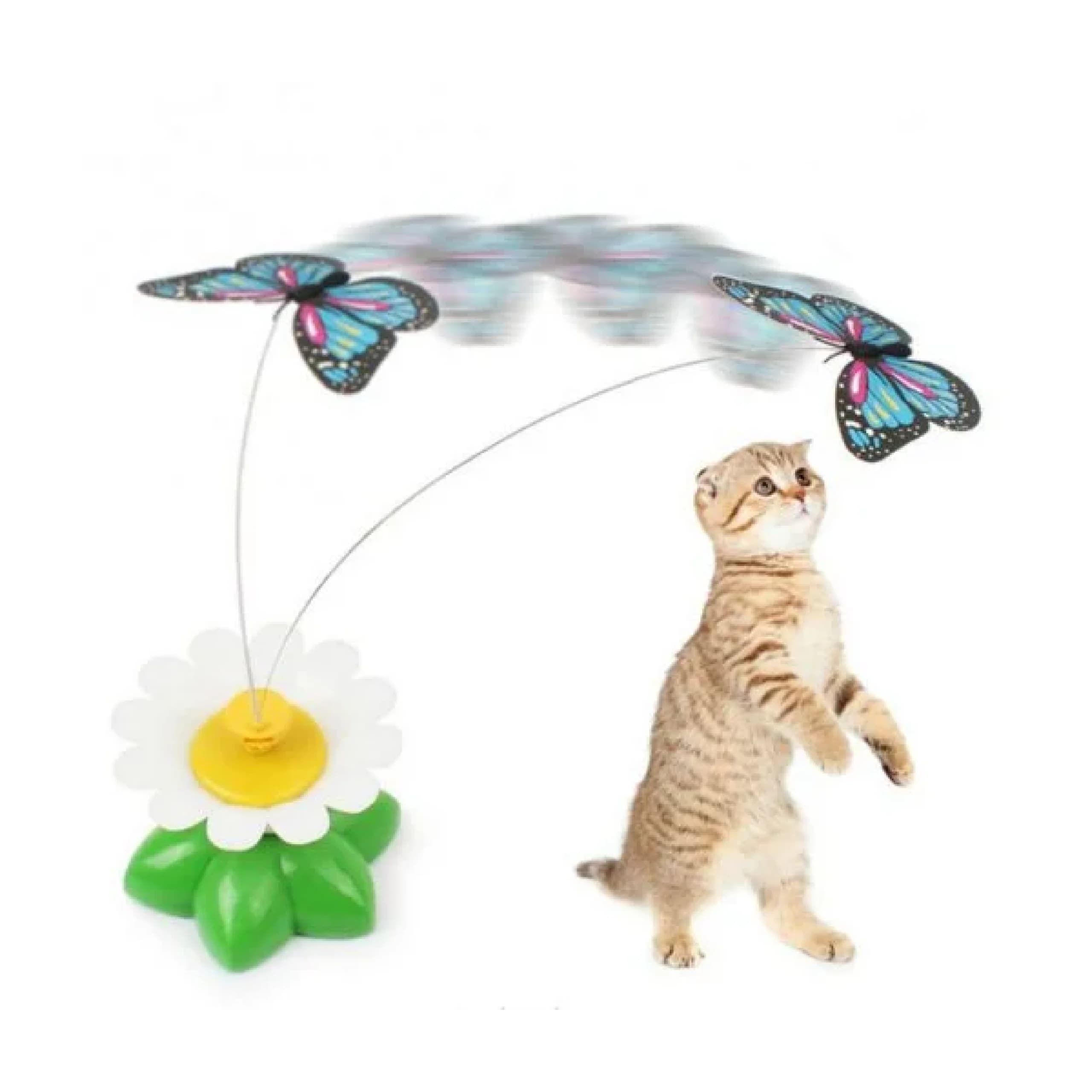 اسباب بازی گربه مدل گل و پروانه چرخان Butterfly Toy For Cat — تصویر ۲