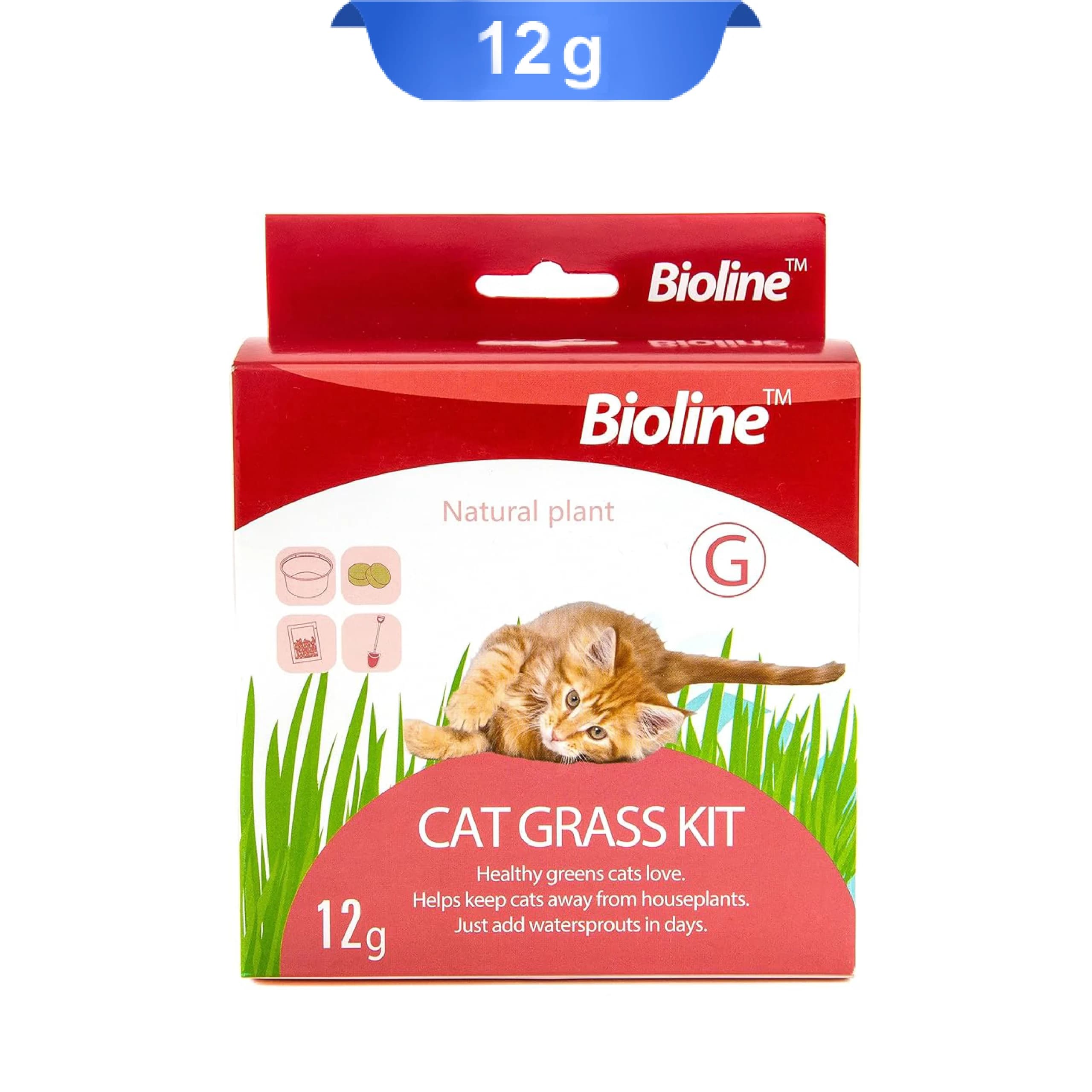 بذر علف گربه بایولاین وزن 12 گرم Bioline Cat Grass Kit