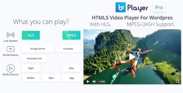 دانلود افزونه وردپرس bzplayer Pro