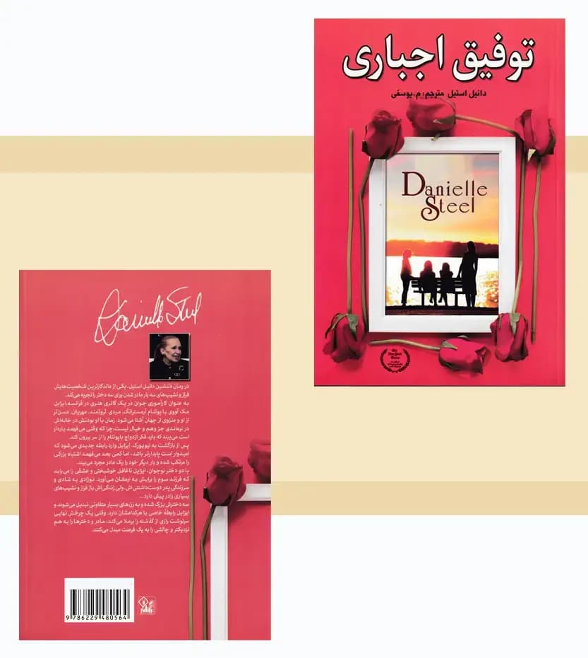 توفیق اجباری اثر دانیل استیل — تصویر ۴