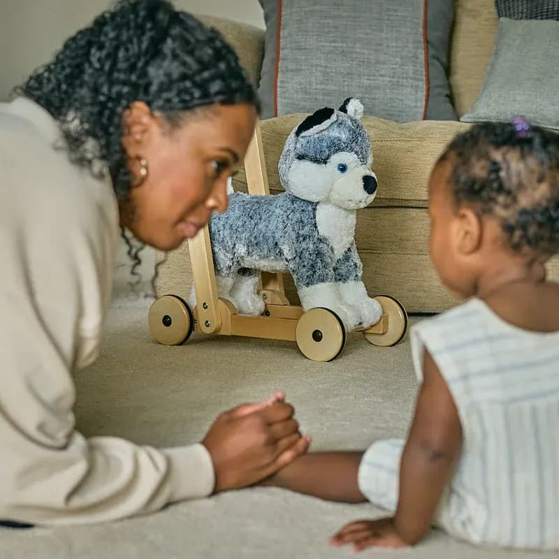 واکر سگ هاسکی لیتل برد MISHKA Dog Push Along little bird کد 3087 — تصویر ۶