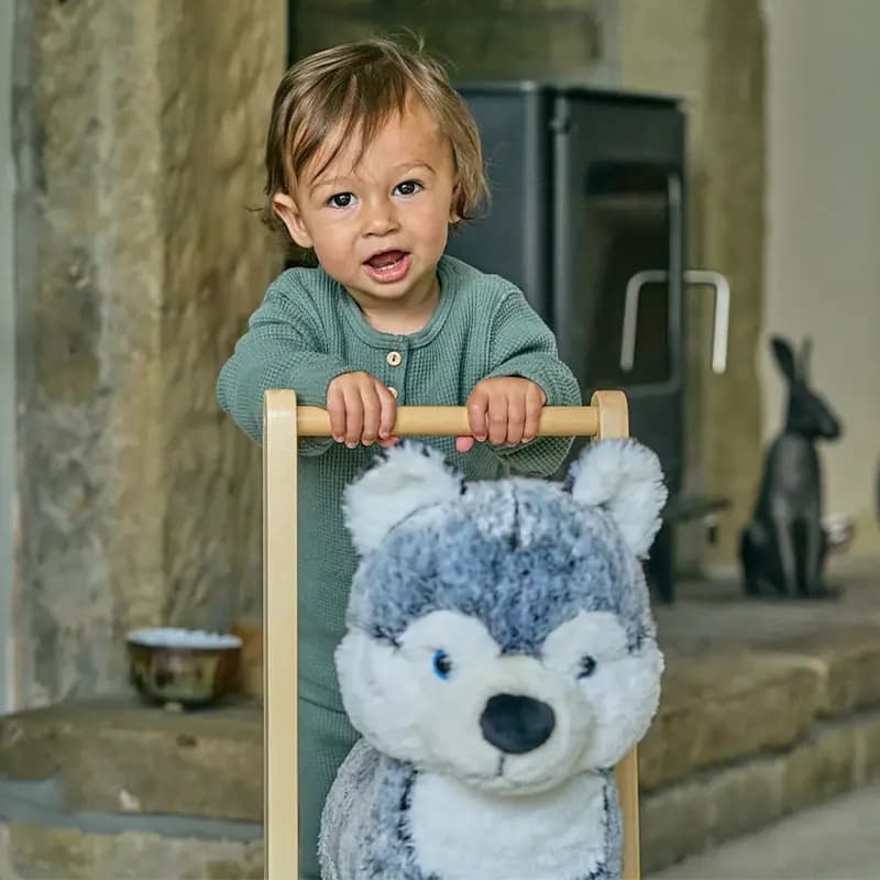 واکر سگ هاسکی لیتل برد MISHKA Dog Push Along little bird کد 3087 — تصویر ۷