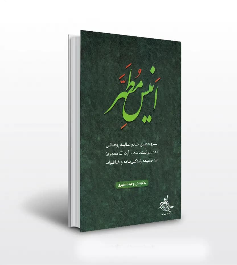 انیس مطهر اثر وحیده مطهری