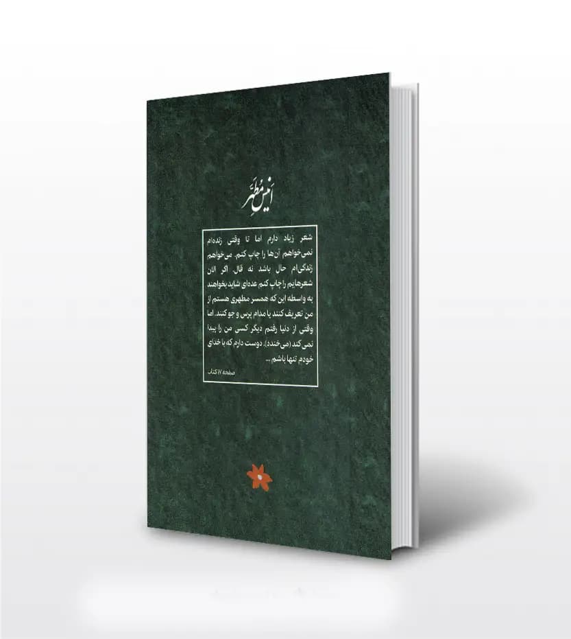 انیس مطهر اثر وحیده مطهری — تصویر ۲