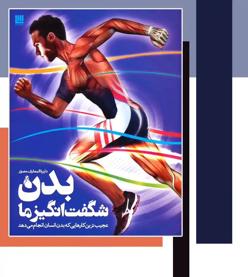 دایره المعارف مصور بدن شگفت انگیز ما | خرید و معرفی — تصویر ۳