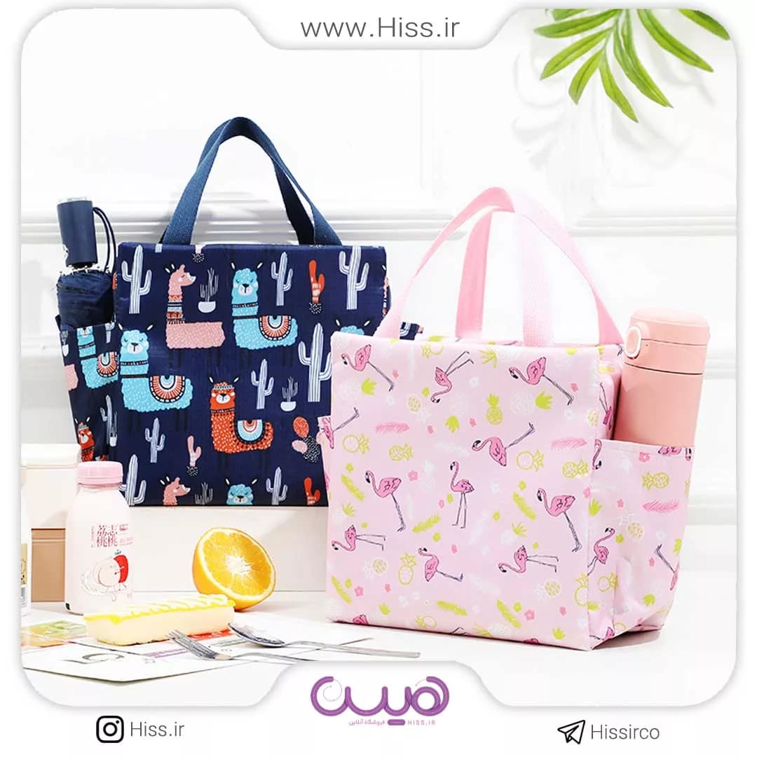 کیف غذا لاما و فلامینگو