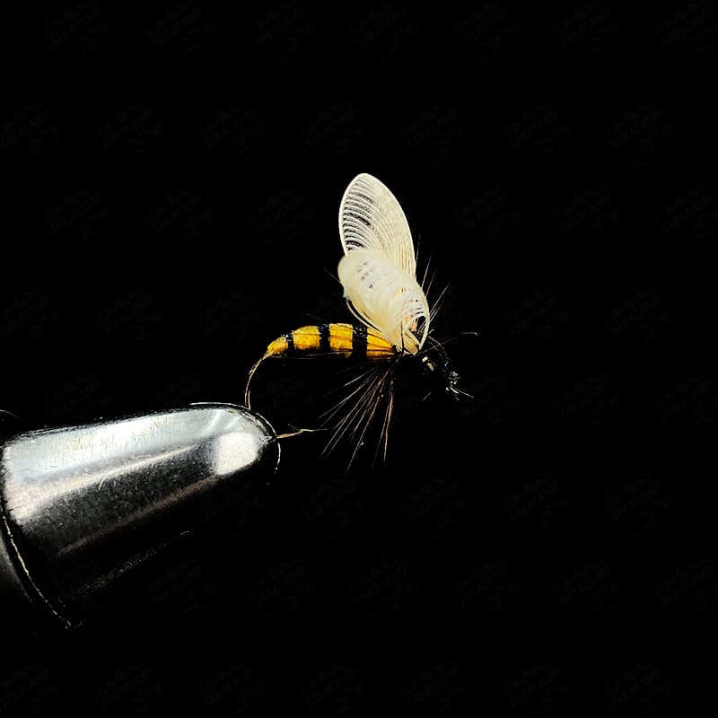 پشه ماهیگیری کد ۳۹ — تصویر ۶