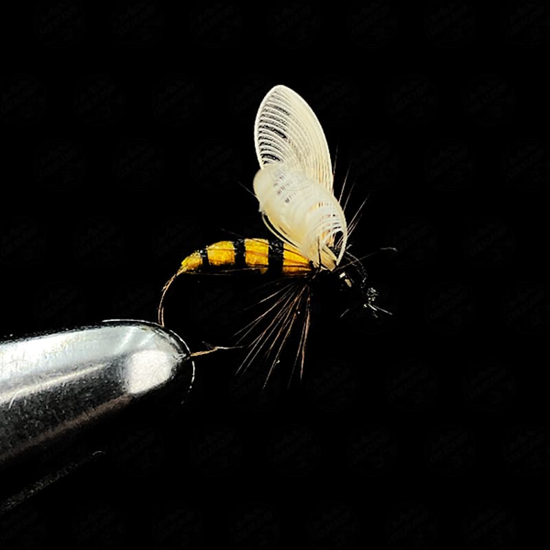 پشه ماهیگیری کد ۳۹ — تصویر ۲