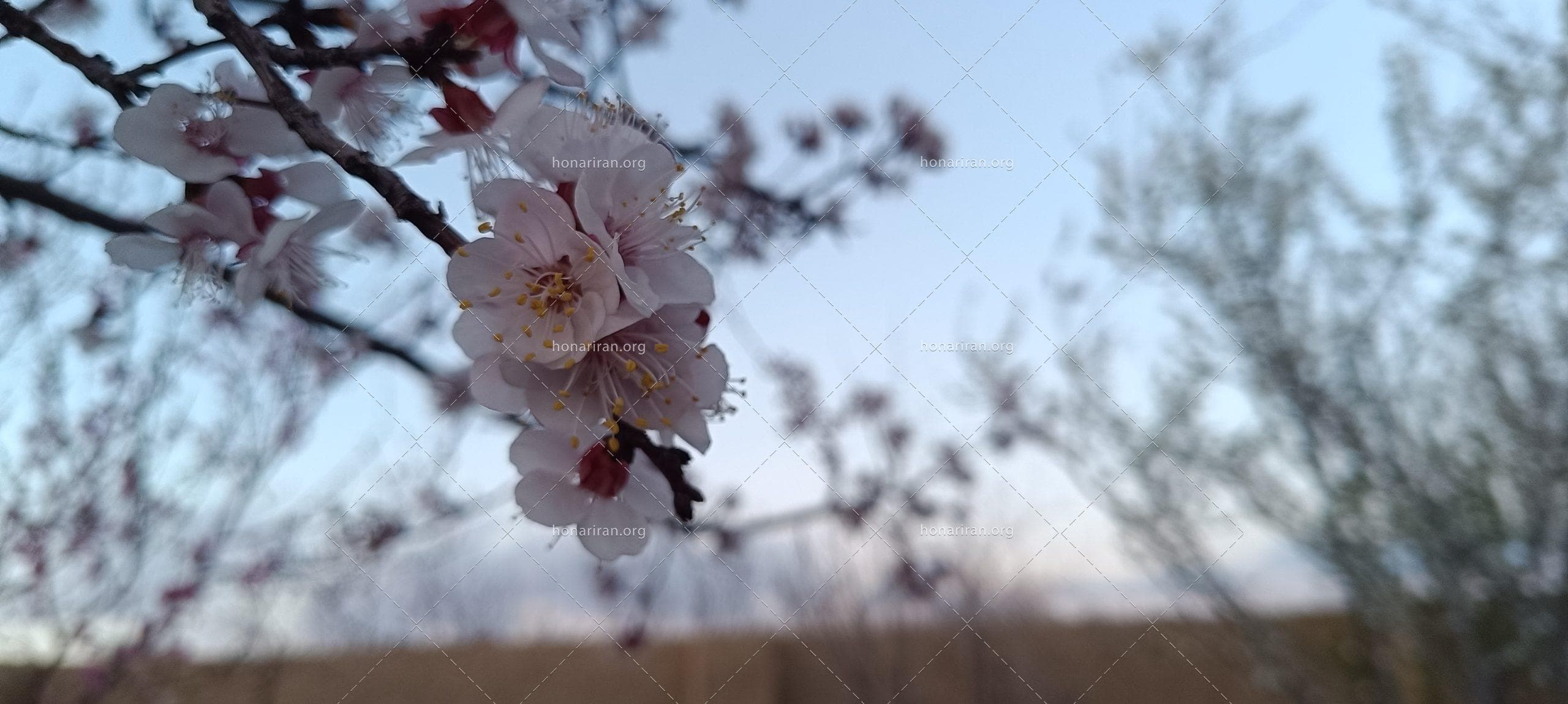 قطعه عکس طبیعت زیبا