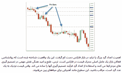 کتاب Practical Pin Bar Trading Strategies for Forex نوشته KC Thorpe — تصویر ۶