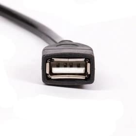 کابل افزایش USB 2.0 کینت – مدل CUE20030 – طول ۳ متر – مشکی – گارانتی ۱۲ ماهه شبکه البرز — تصویر ۲