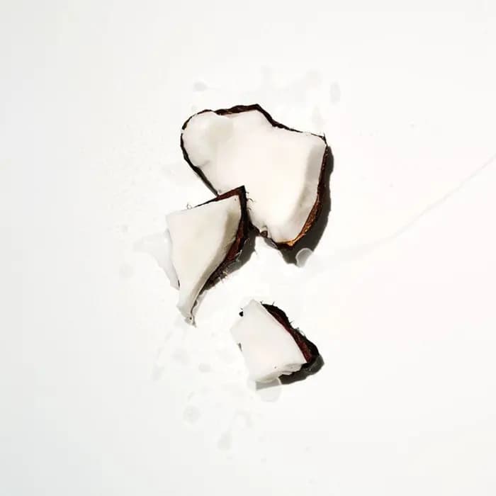 لوسیون بدن پینک ویکتوریا سکرت Coconut — تصویر ۲