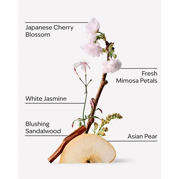 کره بدن بث اند بادی Japanese Cherry Blossom — تصویر ۲
