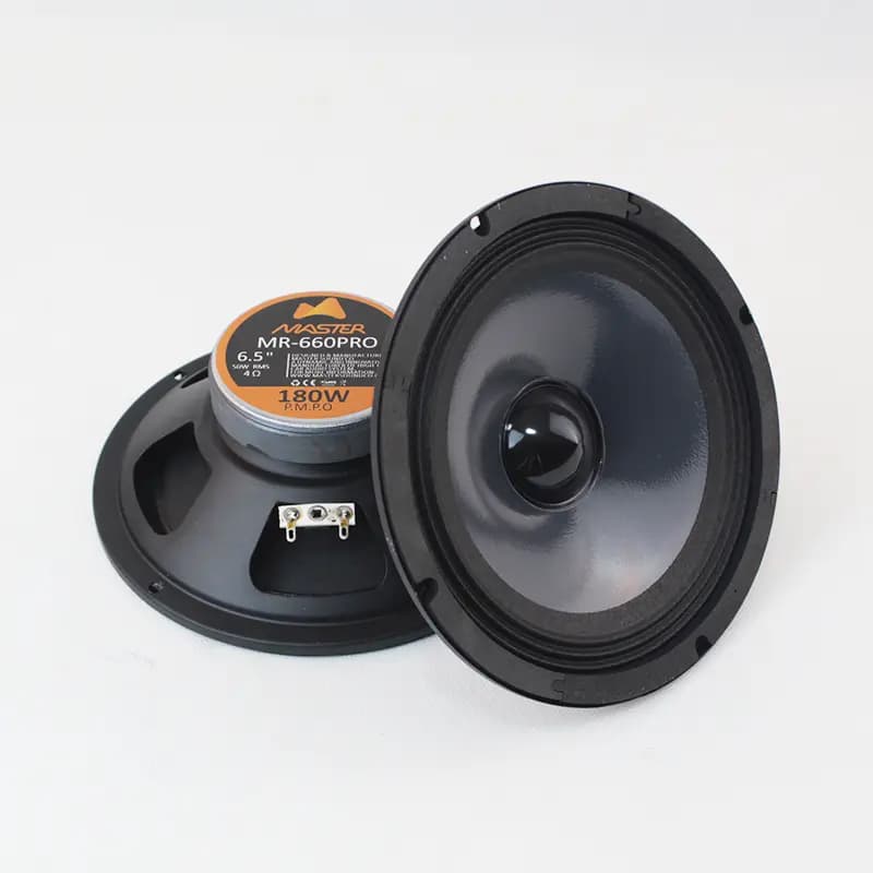 میدرنج 6 اینچ MR-660Pro بولت دار ماستر-50 وات- بسته یک عددی