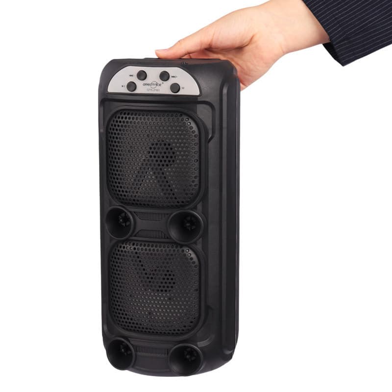 اسپیکر بلوتوثی گریت نایس GTS-2163 — تصویر ۵
