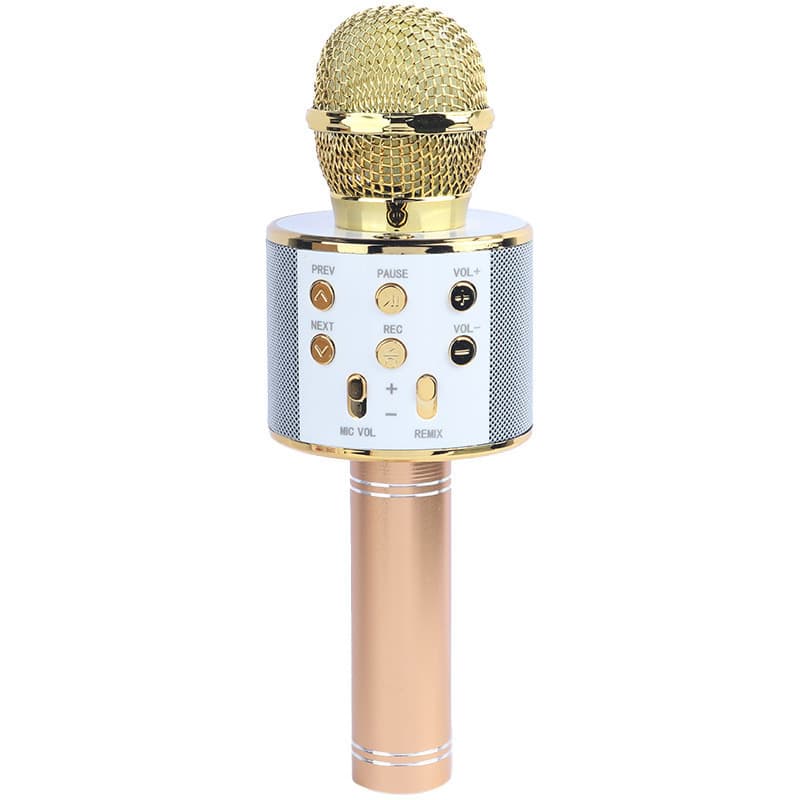 میکروفون اسپیکر گودفری WS-858L — تصویر ۴