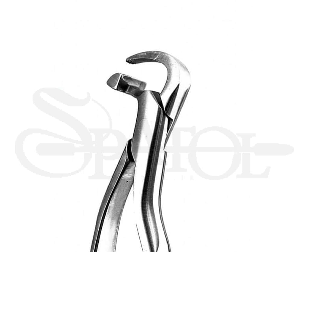 ست فیزیک فورسپس (اتراماتیک) دنتال دیوایسDental device — تصویر ۳