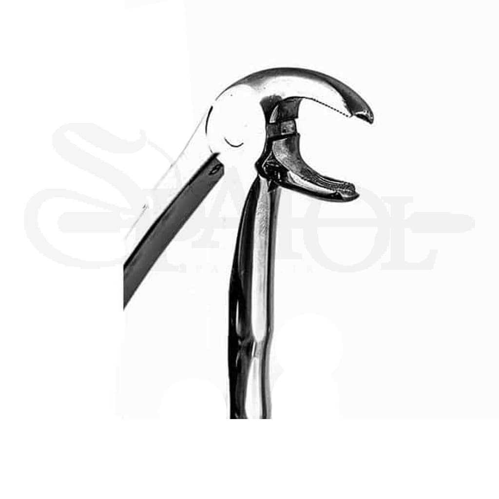 فورسپس اناتومیک مولر پایین دنتال دیوایسDental Devices — تصویر ۲