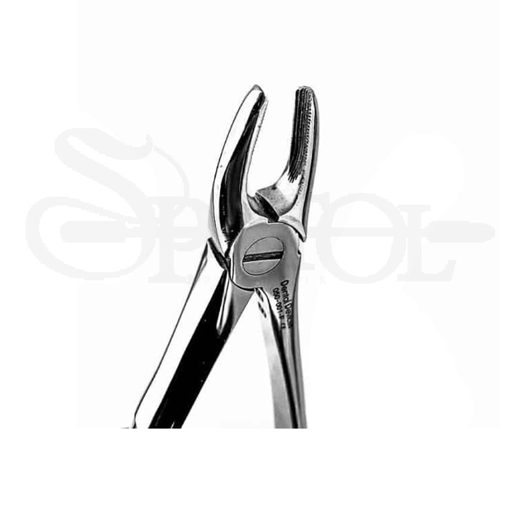 فورسپس اناتومیک سانترال بالا دنتال دیوایس Dental Device — تصویر ۲