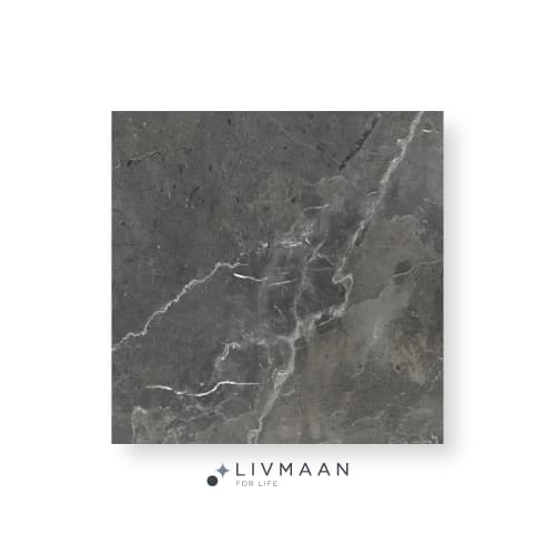 سرامیک 100*100 نانو پولیش استنلی دودی تیره بیستون — تصویر ۵