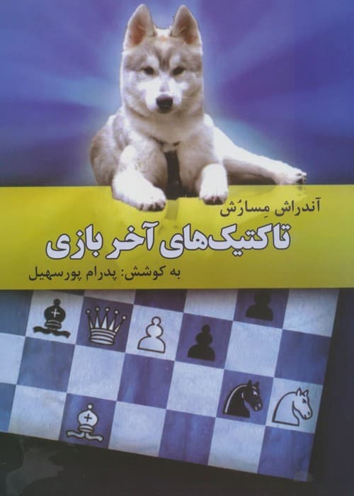 تاکتیک های آخر بازی | آندراش مسارش | انتشارات فرزین