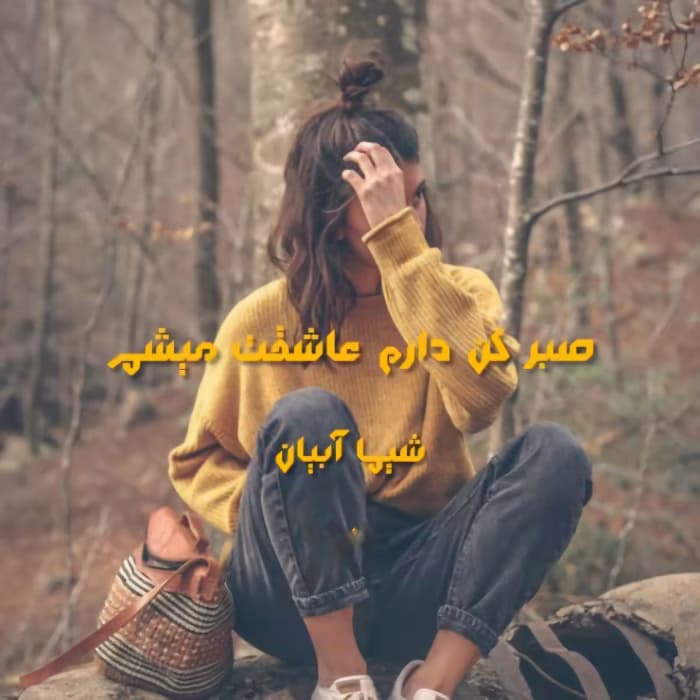صبر کن دارم عاشقت میشم نویسنده :شیما آبیان ژانر :عاشقانه ،هیجانی | دانلود | کتاب خوان