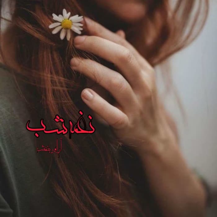 رمان نغمه شب اثر آرام بنفشه | دانلود | کتاب خوان