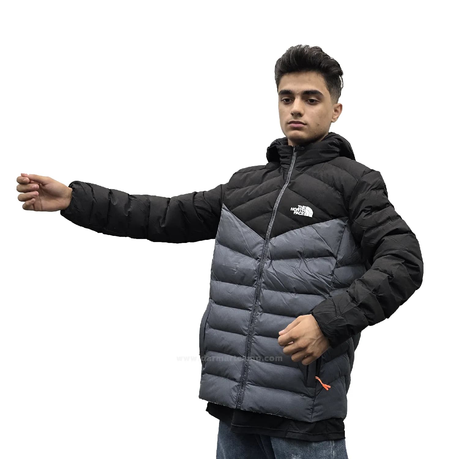 کاپشن الیاف آبگریز زنانه و مردانه برند نورث فیس مدل master — تصویر ۲