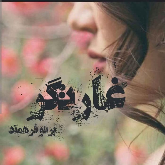 رمان غارتگر جلد2 اثر پرتو فرهمند | دانلود | کتاب خوان