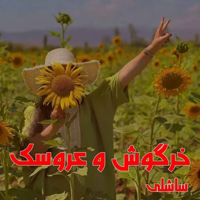رمان خرگوش و عروسک اثر ساشلی | دانلود | کتاب خوان