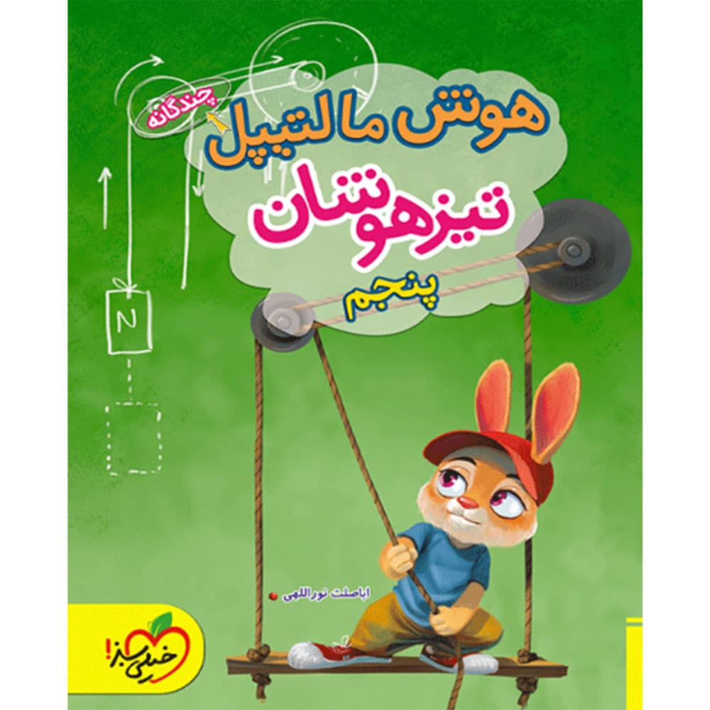 کتاب هوش مالتیپل پنجم انتشارات خیلی سبز