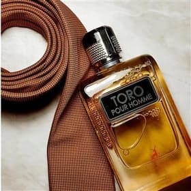 عطر ادکلن مردانه تق هرمس(تغ دی هغمس) میسون الحمبرا | (Terre d’Hermes (Toro Pure Homme Maison Alhambra حجم 100 میل (شرکتی) — تصویر ۲
