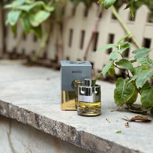 عطر ادکلن مینی آزارو وانتد مردانه برندینی | Azzaro Wanted boy حجم 25 میل