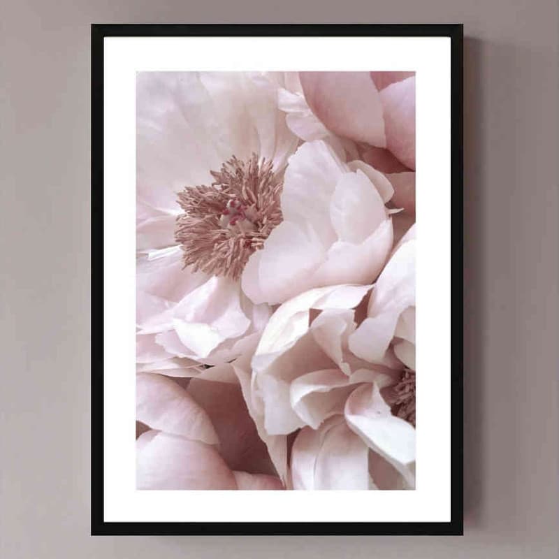 تابلو مدل peony کد 248901841 — تصویر ۲