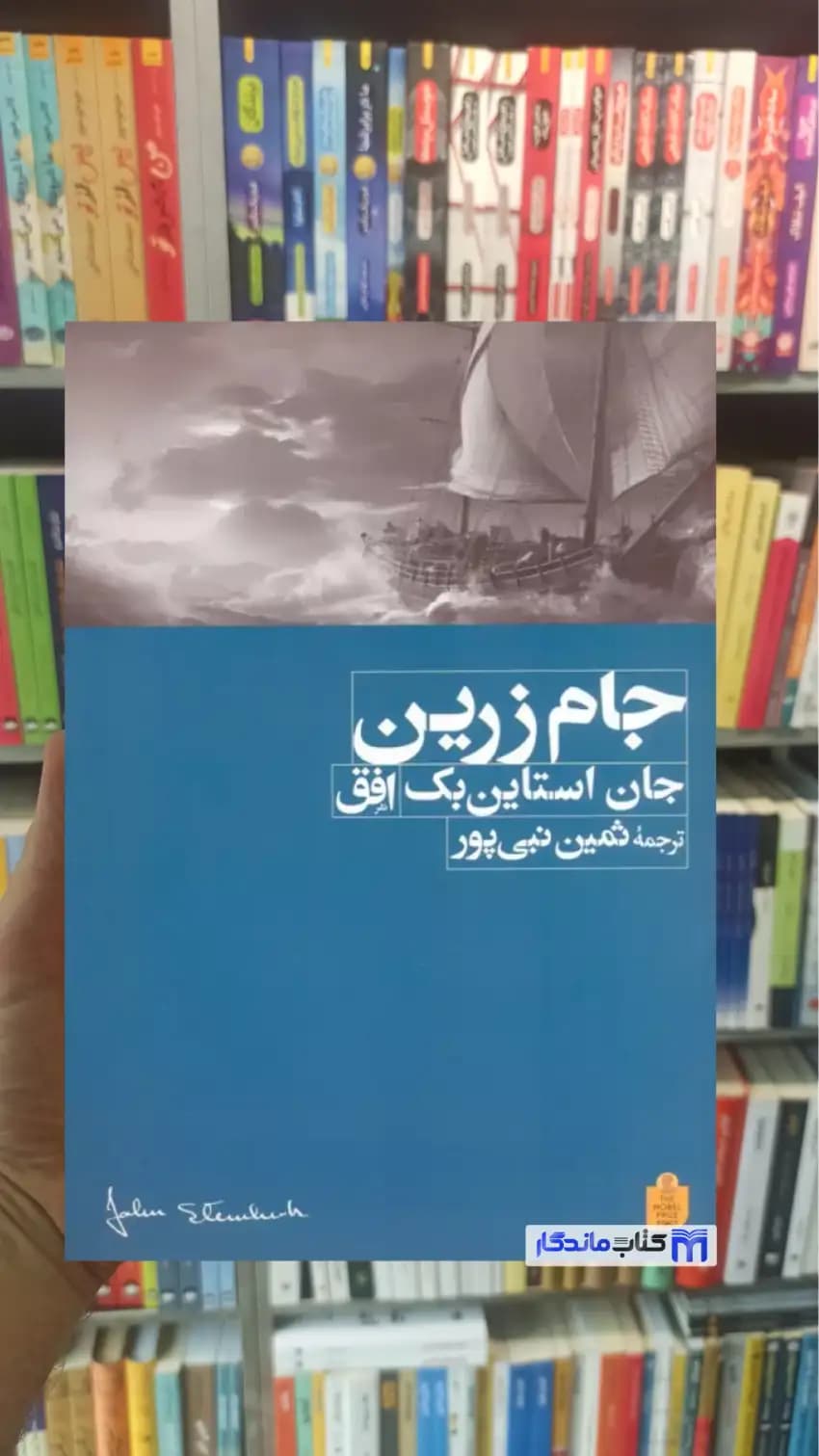 جام زرین اشتاین بک افق