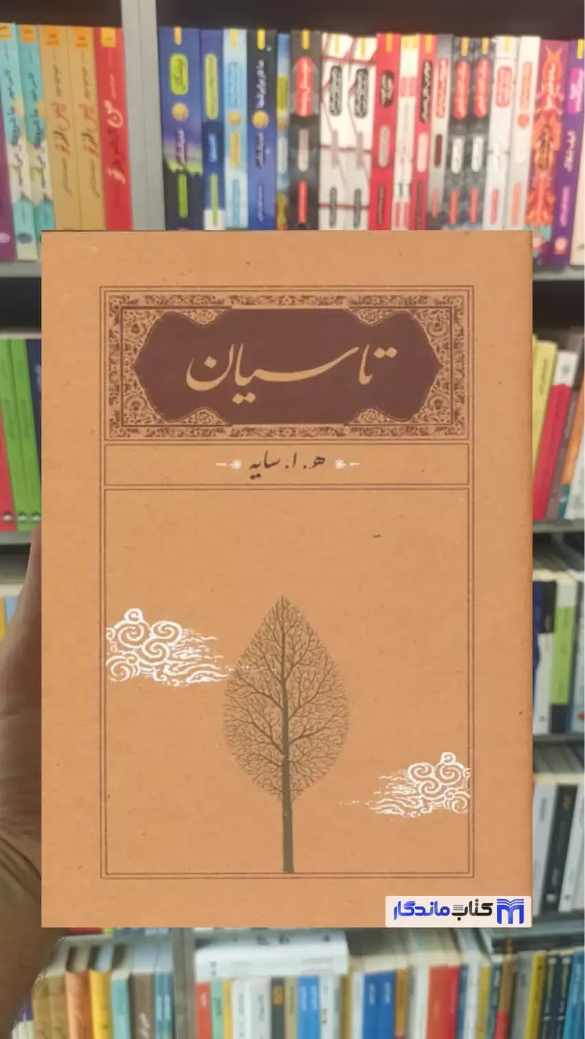 تاسیان ابتهاج زرکوب کارنامه