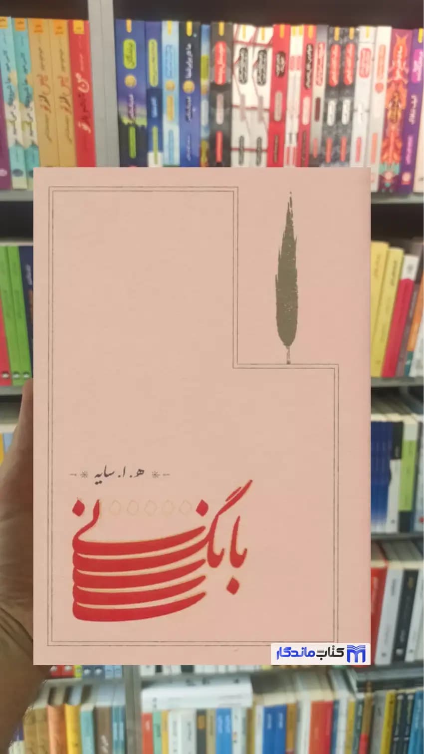 بانگ نی ابتهاج زرکوب کارنامه