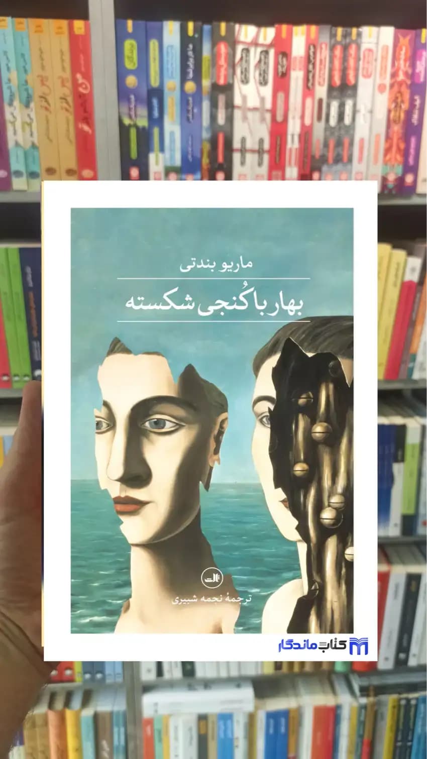 بهار با کنجی شکسته بندتی ثالث