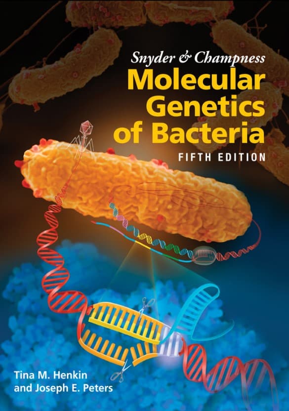 کتاب Snyder and Champness Molecular Genetics of Bacteria (ASM Books) 5th Edition