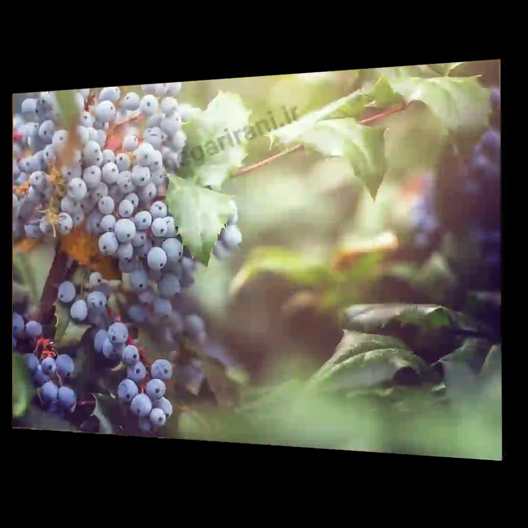 تابلو شاسی انگور فرانسوی مدل V39