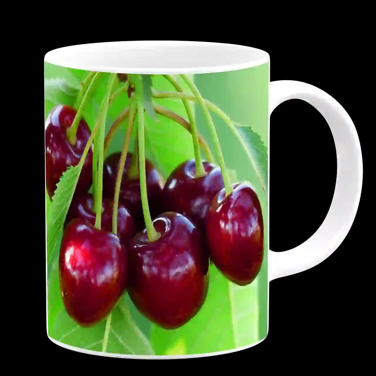ماگ آلو گیلاس مدل V3 — تصویر ۳