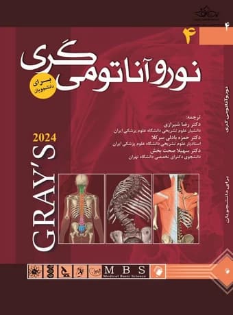 نوروآناتومی گری برای دانشجویان (جلد چهارم) 2024