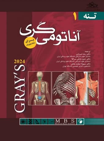 آناتومی گری برای دانشجویان (تنه – جلد اول) 2024