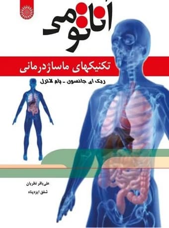 آناتومی تکنیک های ماساژ درمانی