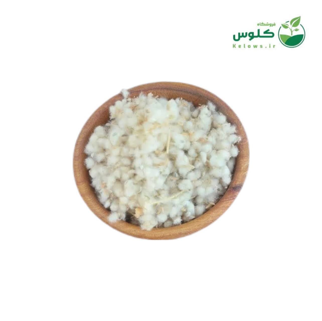 مریم نخودی 5 کیلویی — تصویر ۲